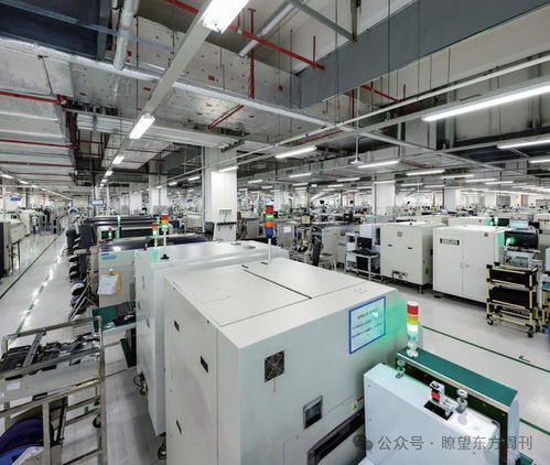 國際蓉 破圈生長中的技術開發新篇章